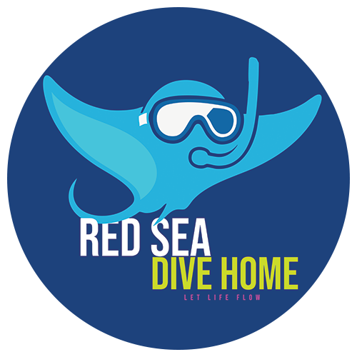 Red Sea Dive Home - Hurghada Dive Experience